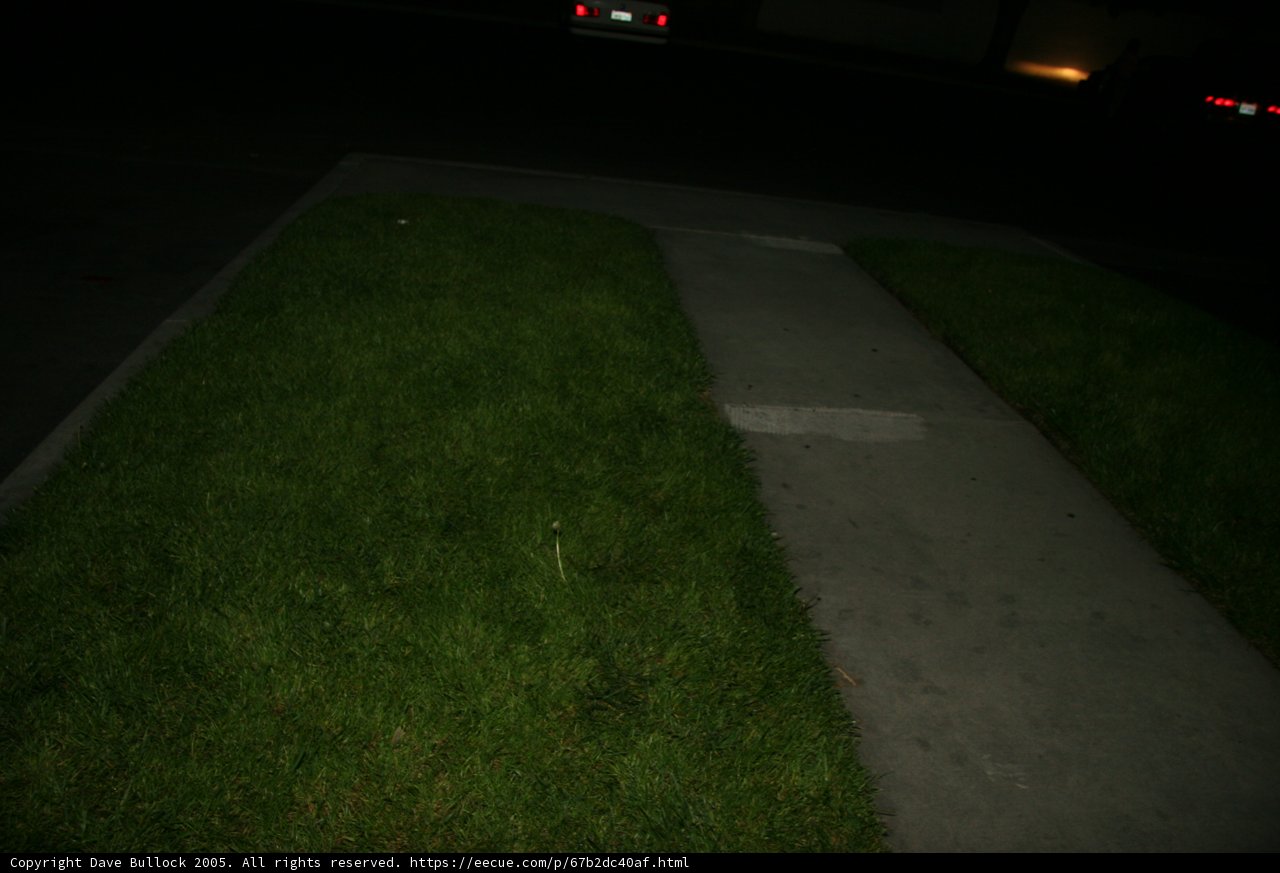 A Tranquil Night Stroll