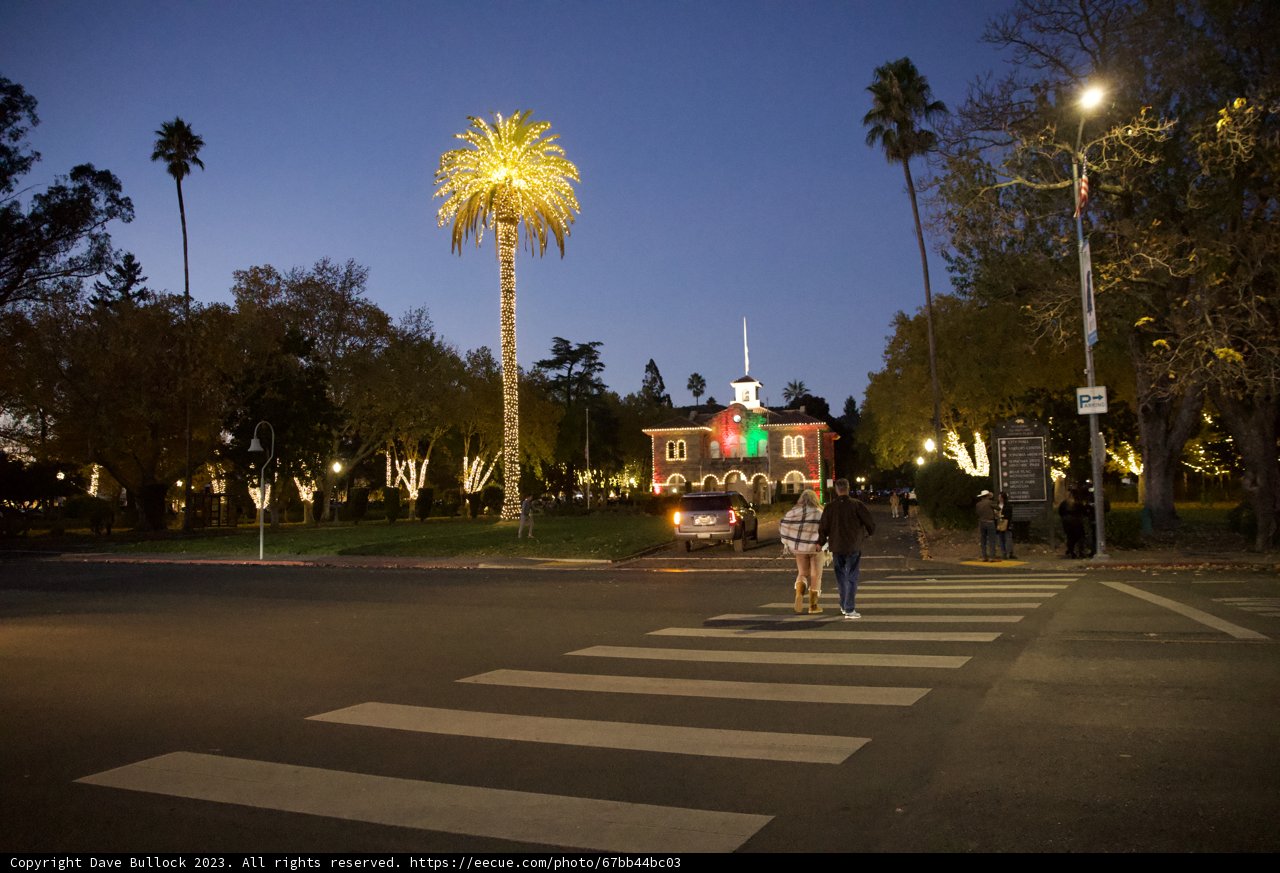 Tranquil Urban Night - A Stroll in Downtown Sonoma