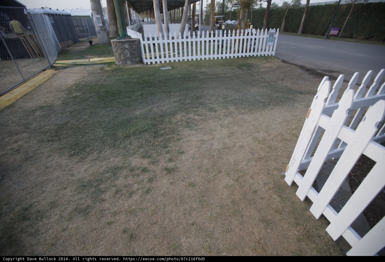White Picket Perfection