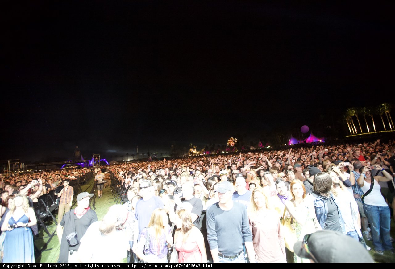 Coachella Nights