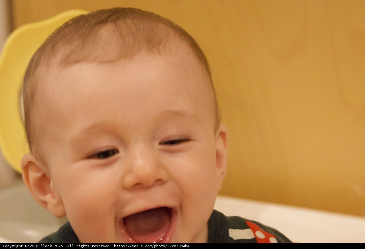 Pure Joy in Motion