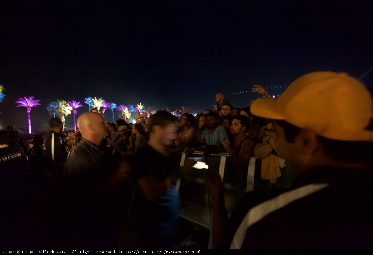 Nighttime Crowd Among Palm Trees