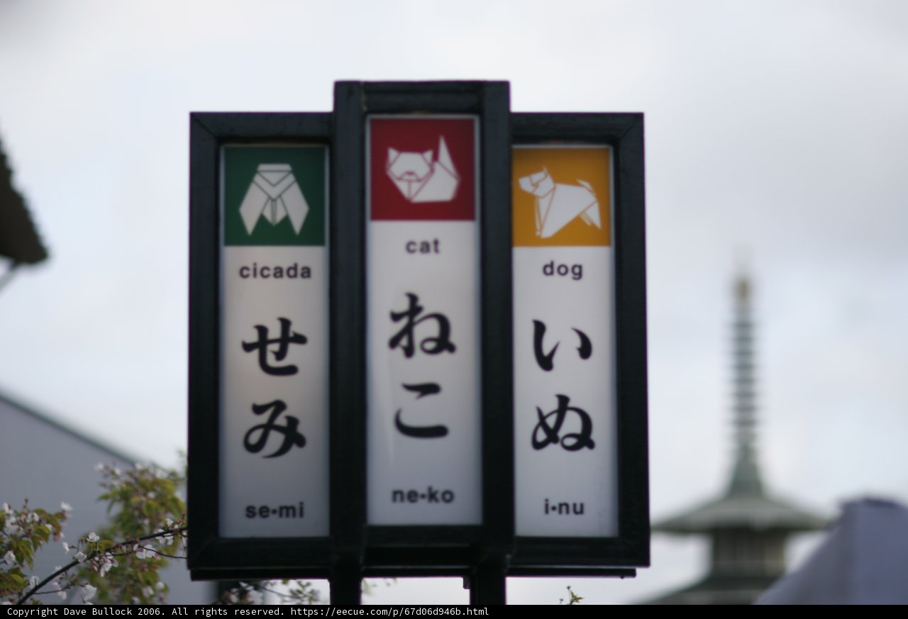 Pet-Friendly Crossings