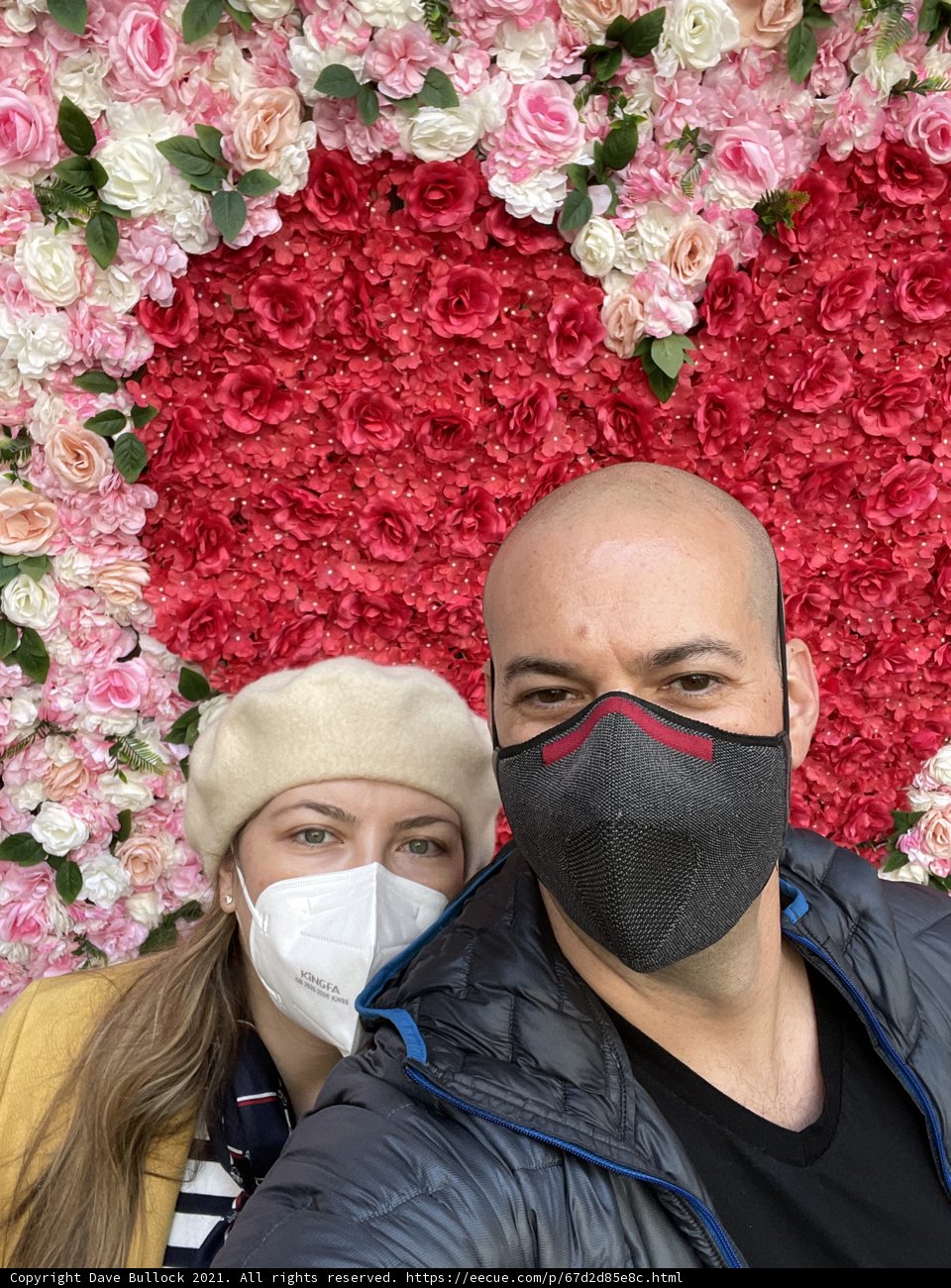 Masked Lovebirds in Front of Heart-Shaped Flower Arrangement