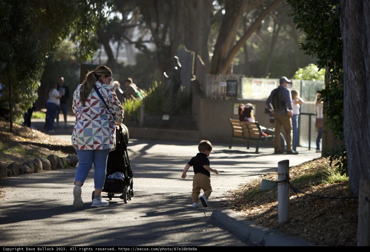 An Afternoon Walk: Mother and Child at the SF Zoo