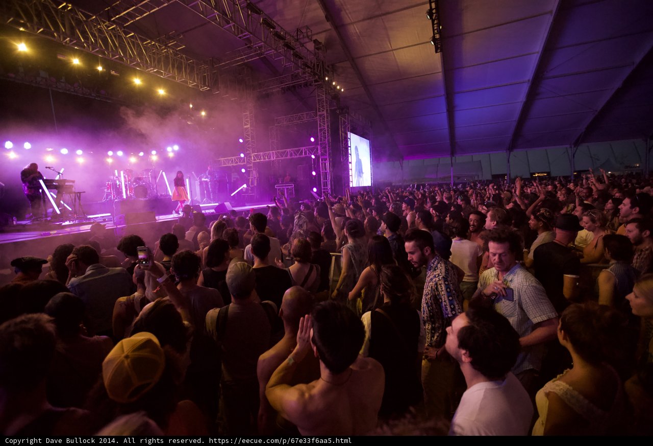 Purple Haze at Coachella Concert