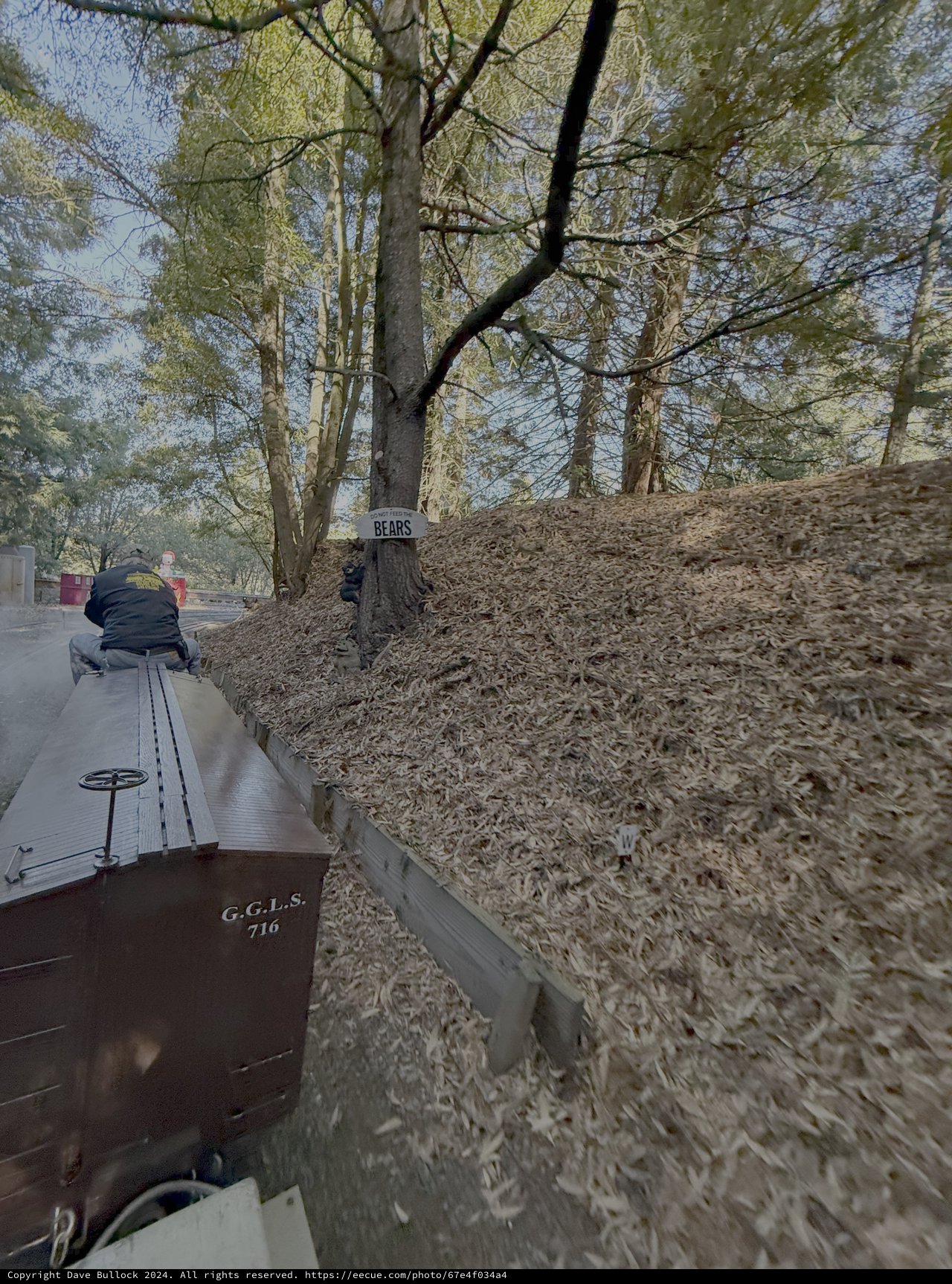 Canal Boat Journey Through Wooded Waterway