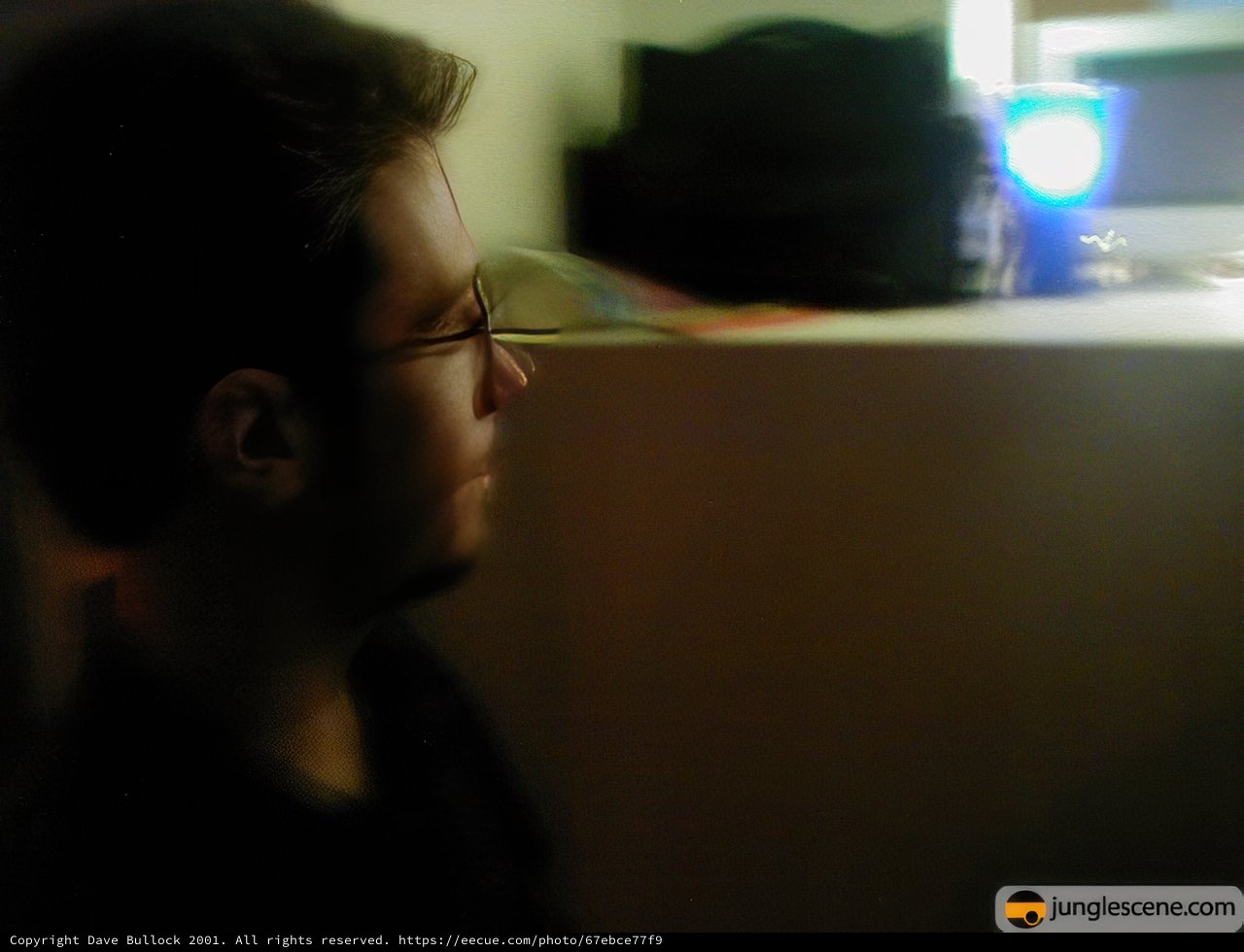 Watching the Screen