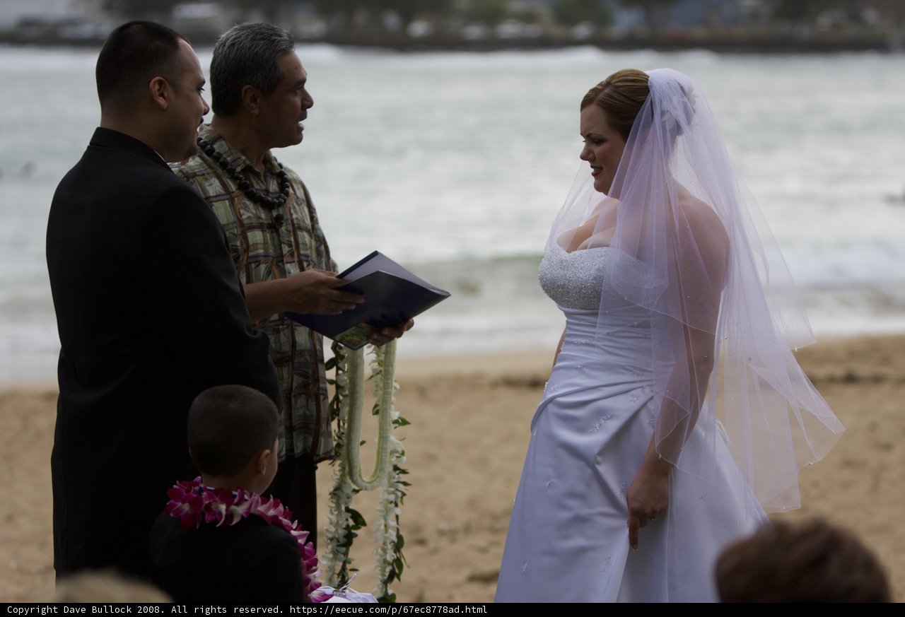 Beach Wedding Bliss
