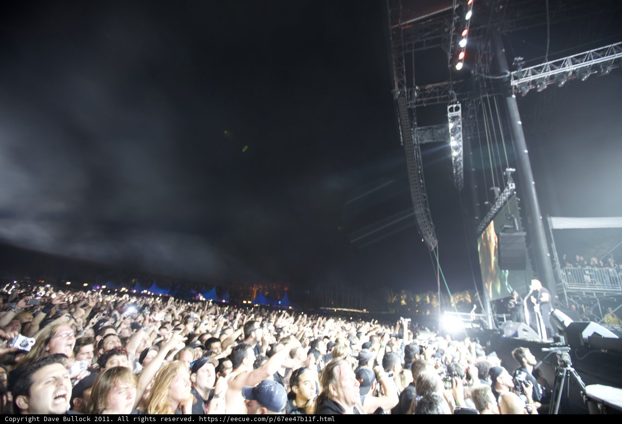 Rocking Out Under the Night Sky