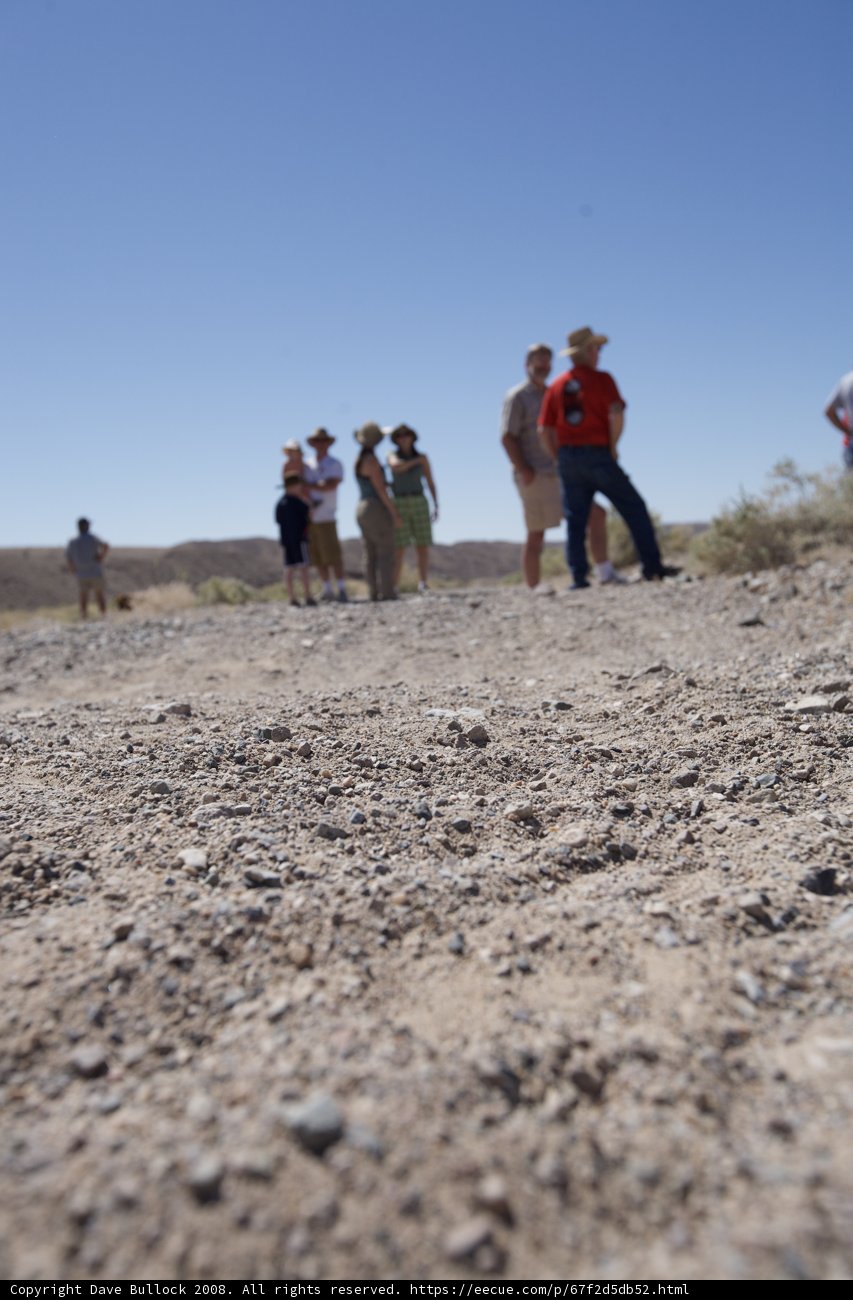 Desert Hike: Exploring Uncharted Territories