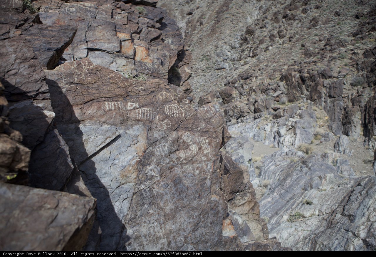 Standing Strong on a Slate Rock in the Canyon