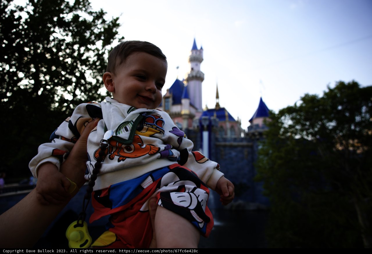 Magical Moments at Disneyland