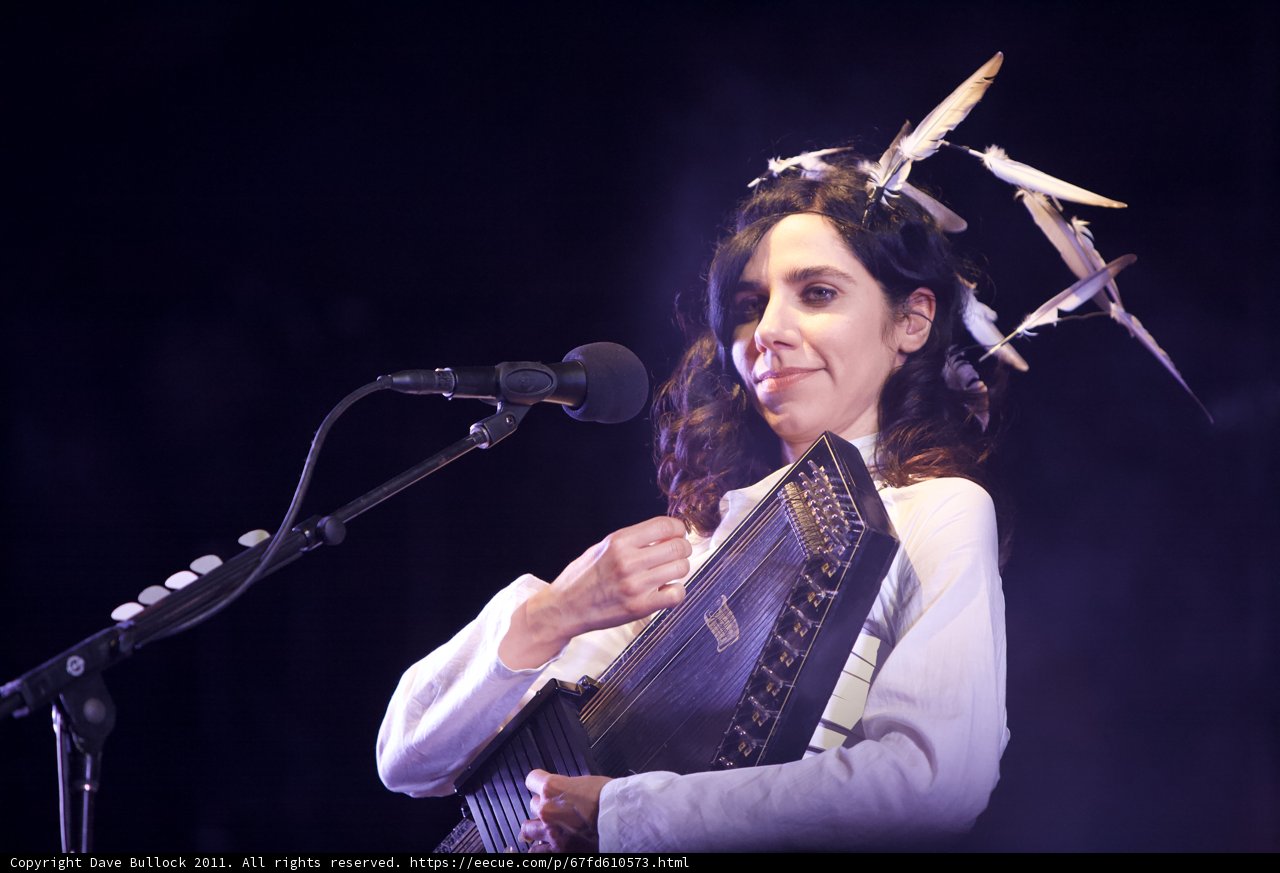 The Bird Songstress