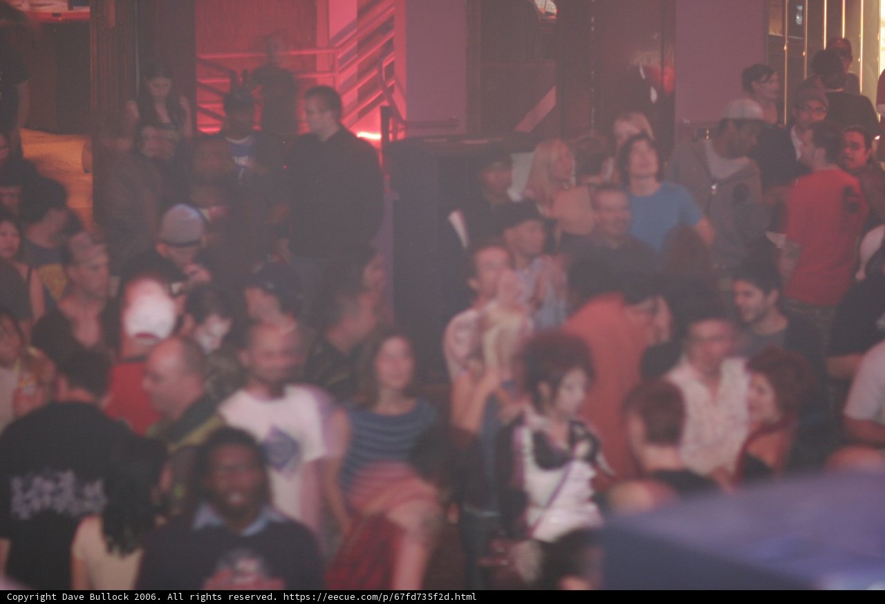 Nightlife Extravaganza at the Disco Club