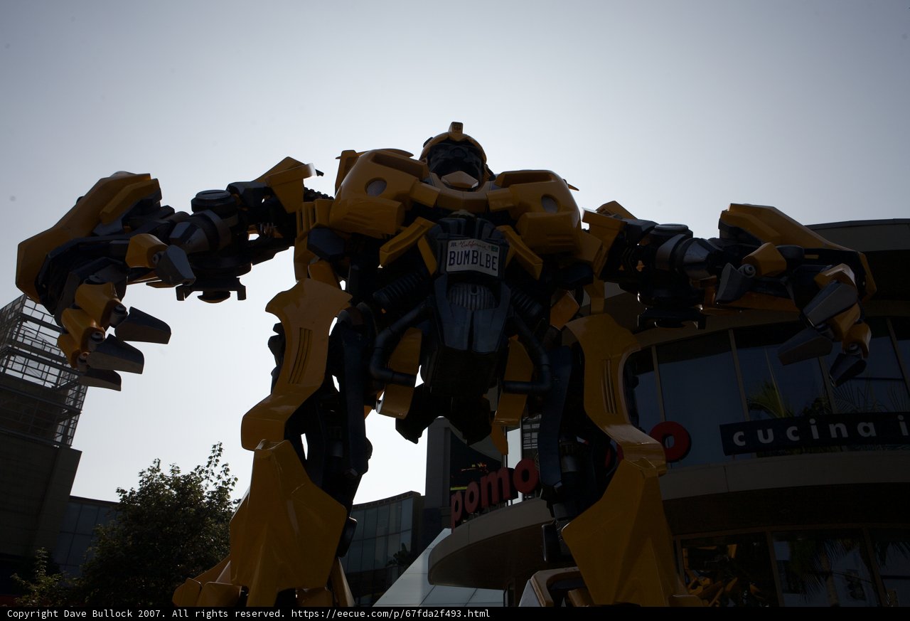 Bumblebee Takes Over the City