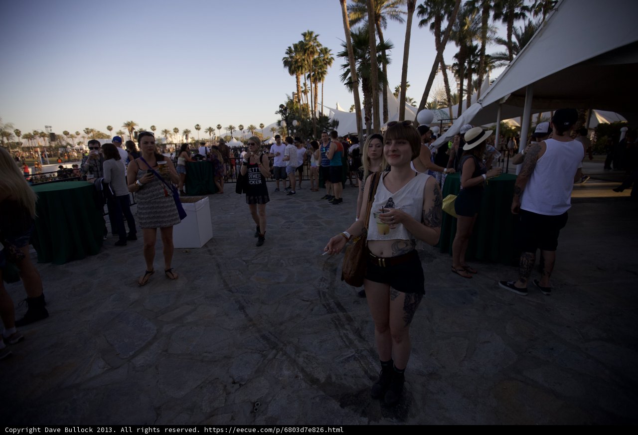 Fashionable Crowd at Coachella