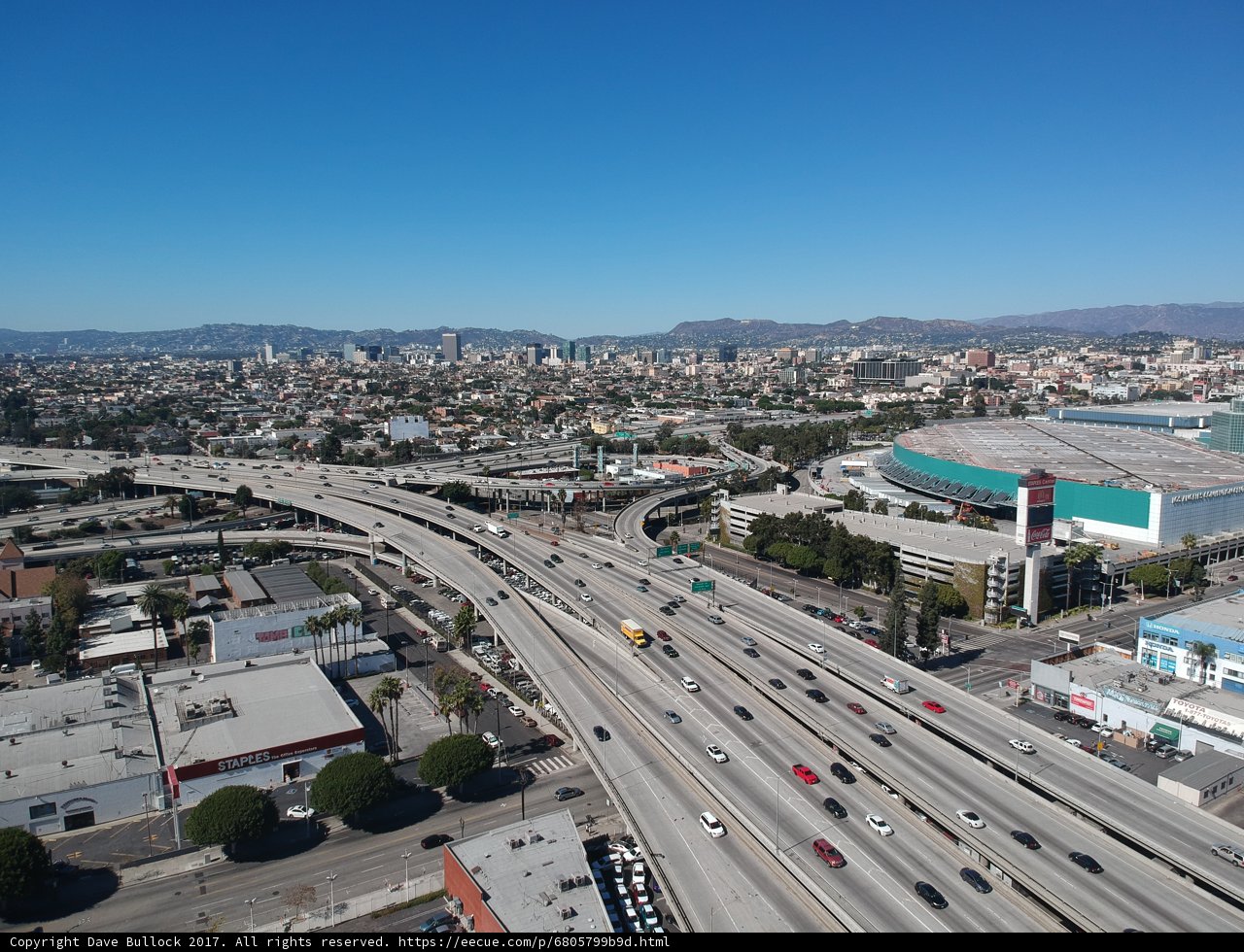 The Urban Jungle from Above
