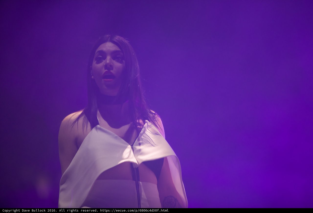 The Purple Spotlight