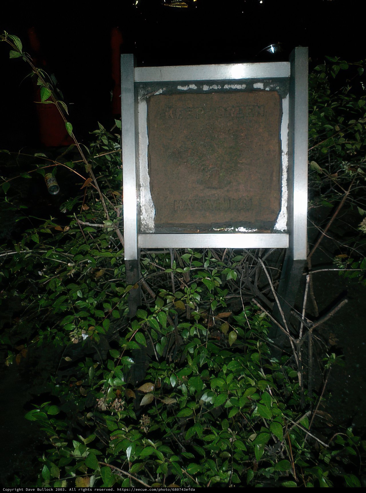 Sign amidst the foliage