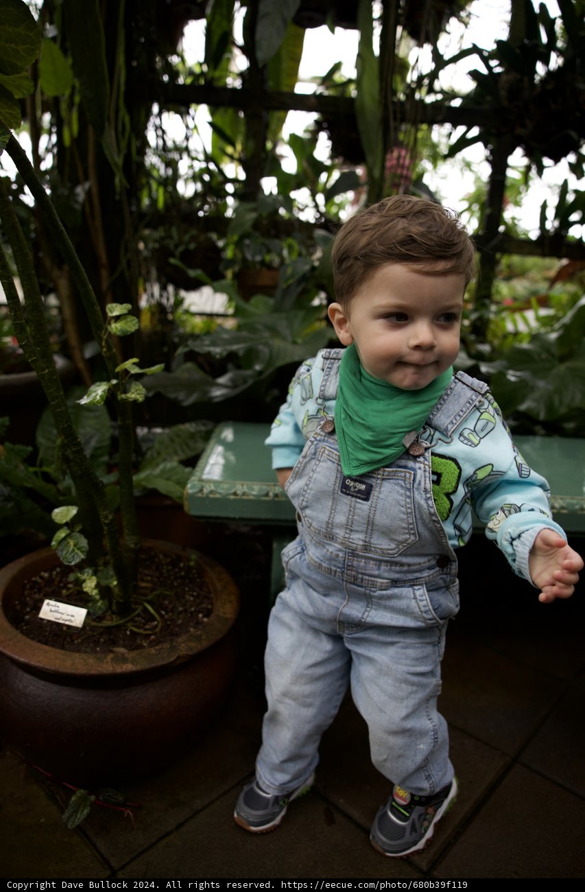 Joy in the Garden: A Young Explorer in Golden Gate Park
