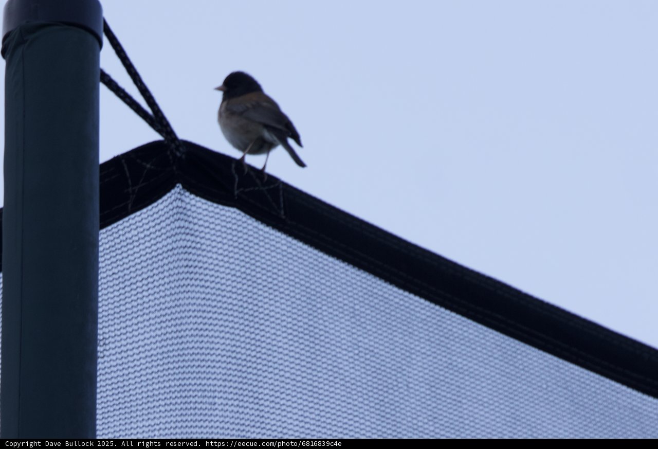 Perched on the Edge