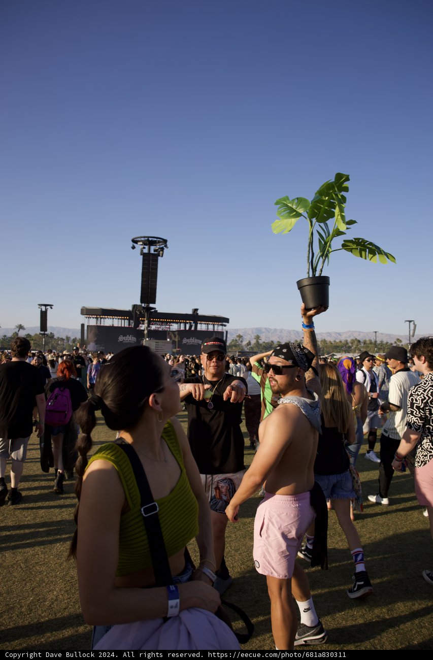 A Vibrant Moment at Coachella 2024