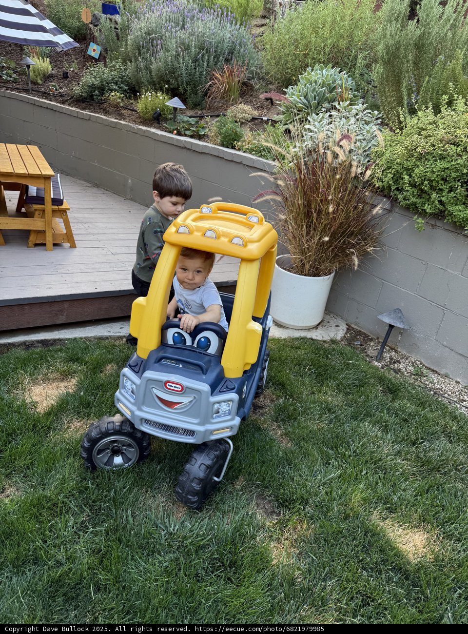 Backyard Adventures