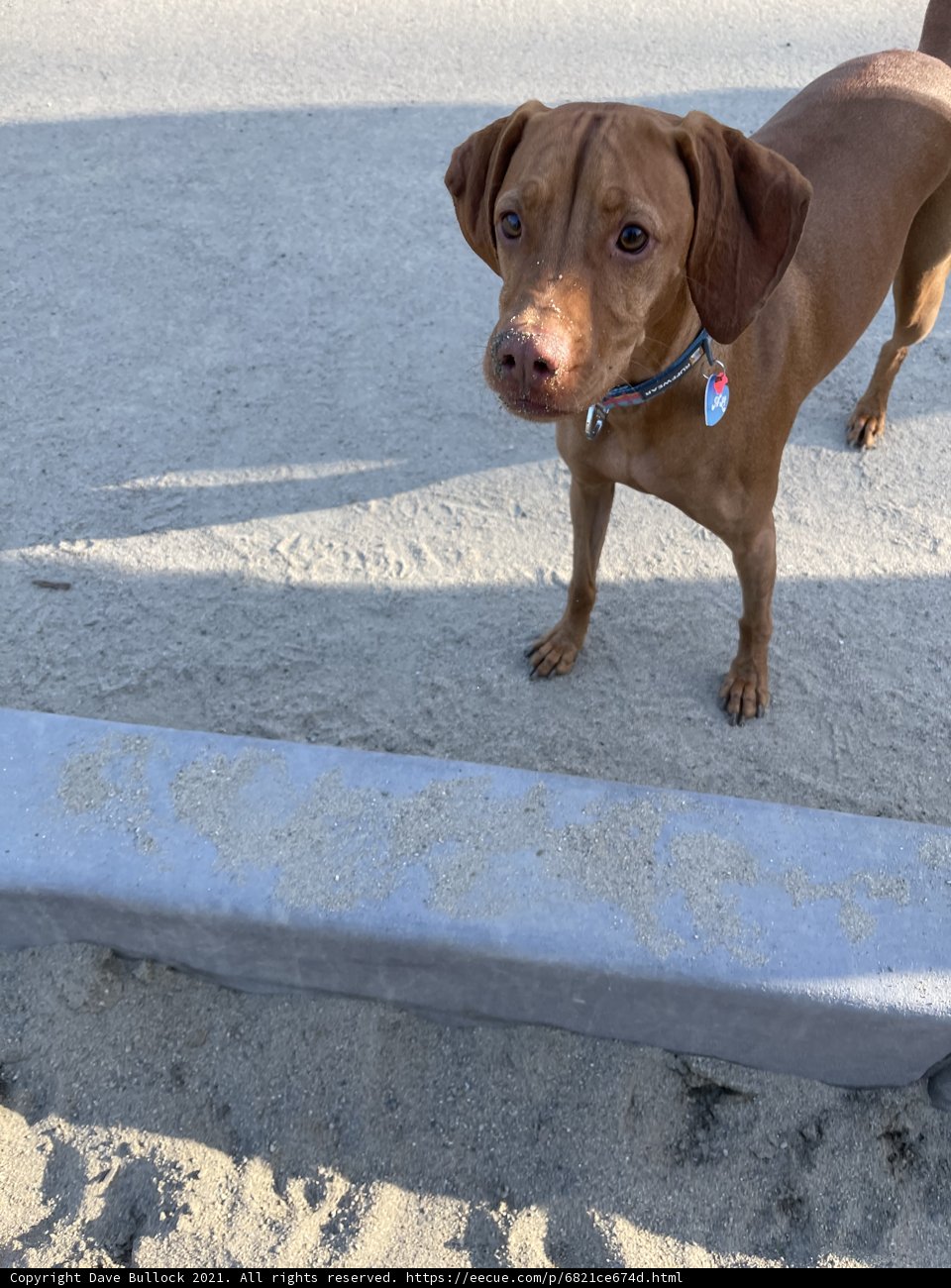 Standing Strong on the Sidewalk
