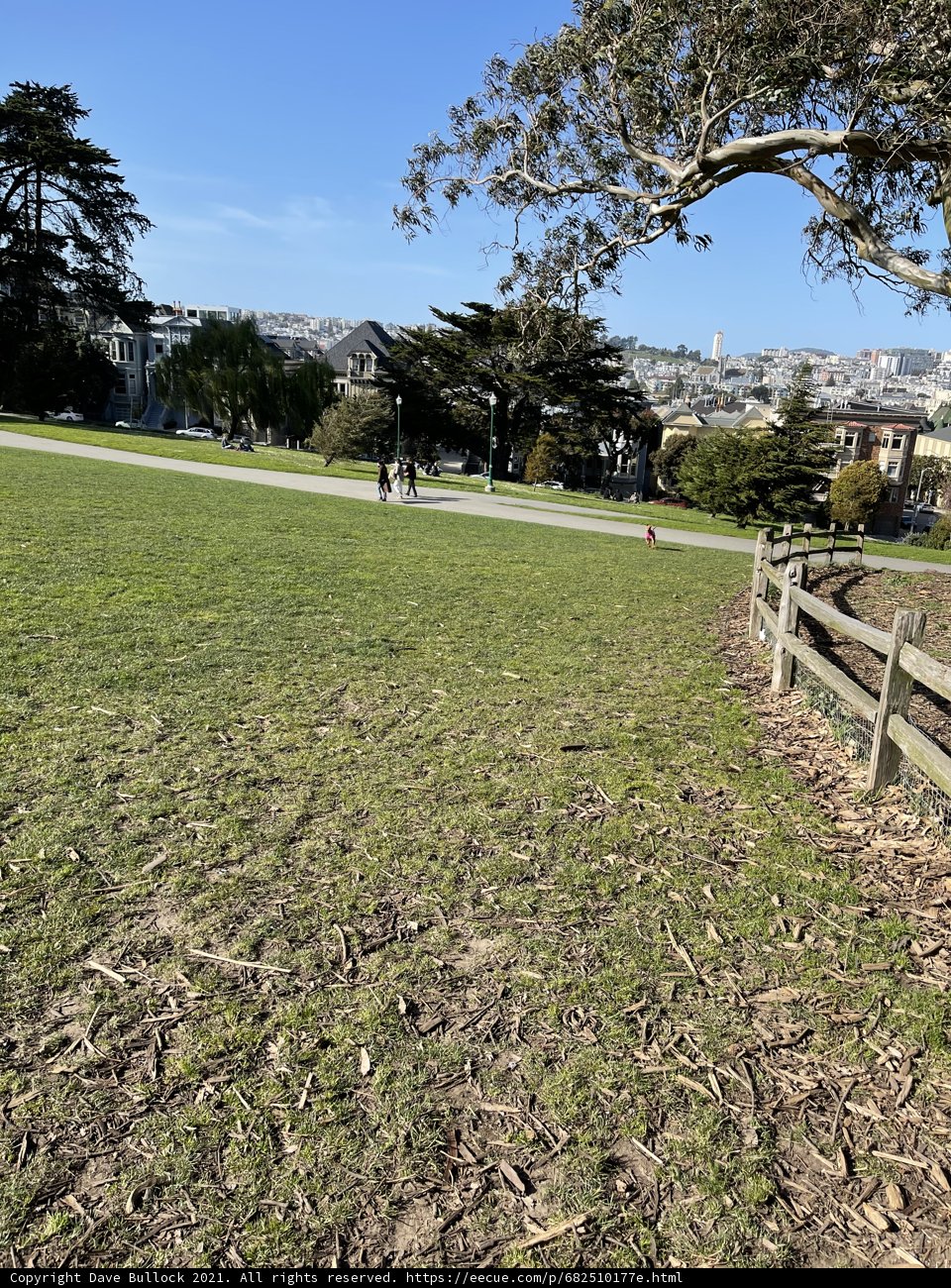 Serenity in the Park