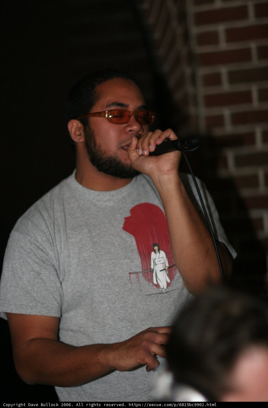 The Singer in Gray Shades