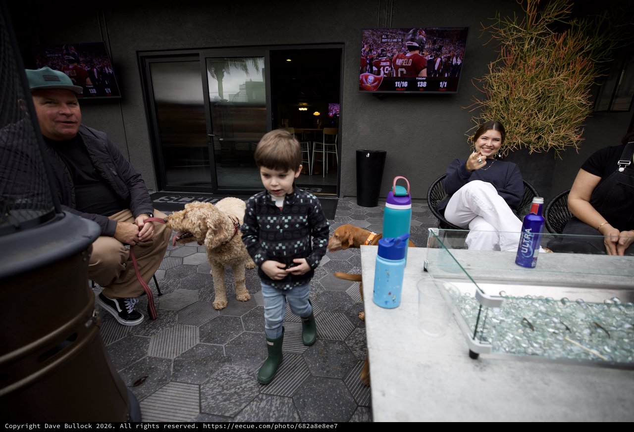 Family Patio Gathering with Dogs and Football