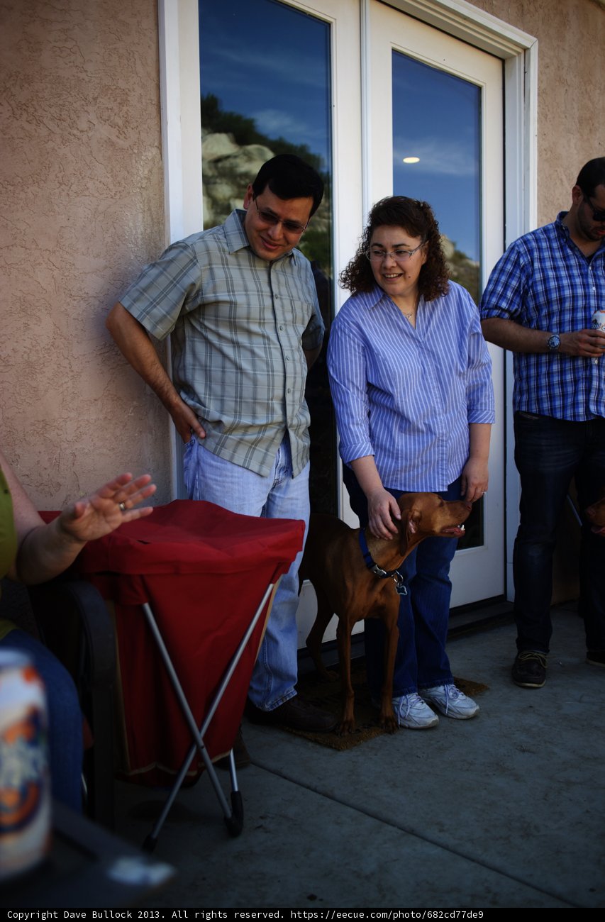 Table Talk with Man's Best Friend