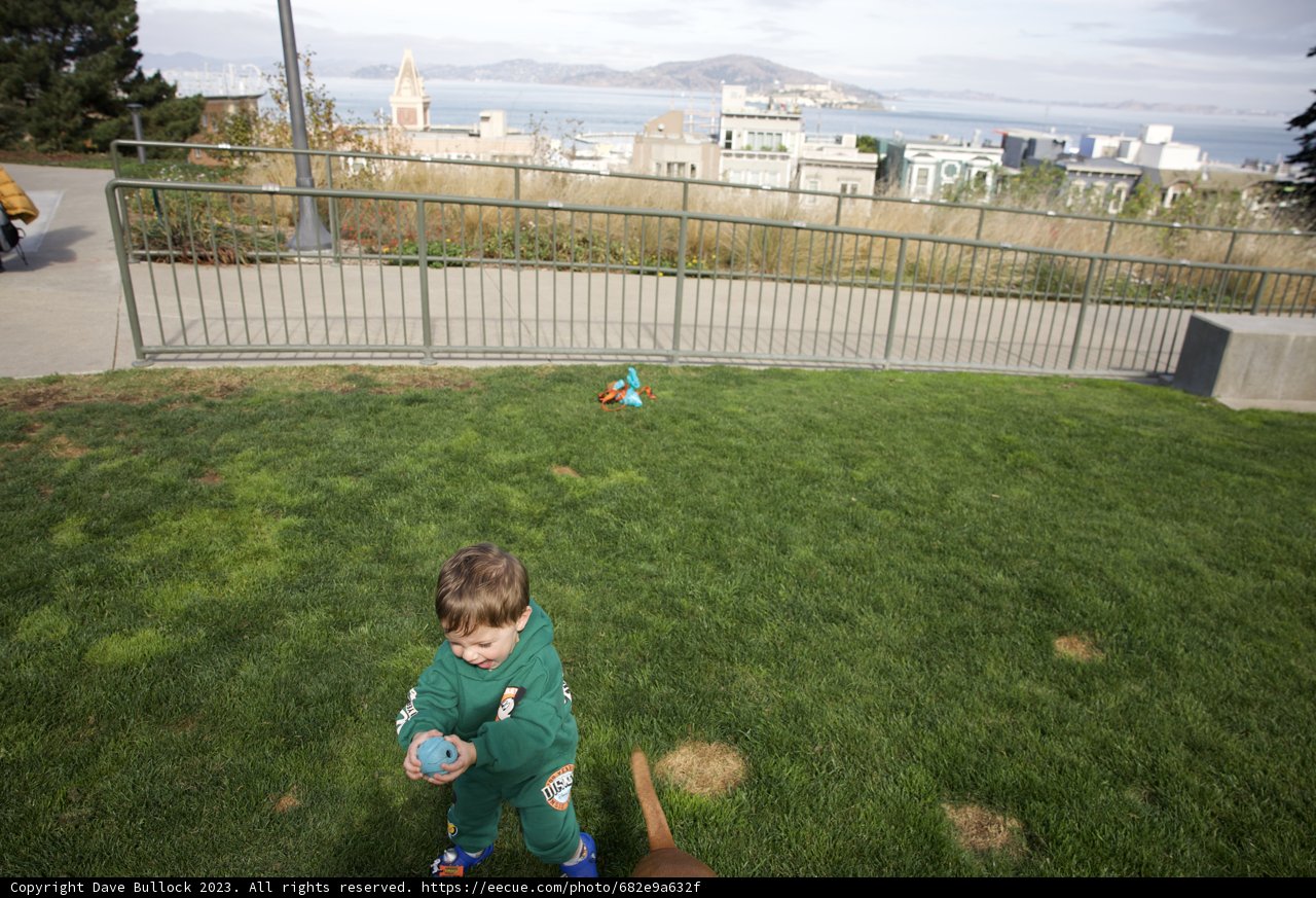 Joyful Moments in Francisco Park