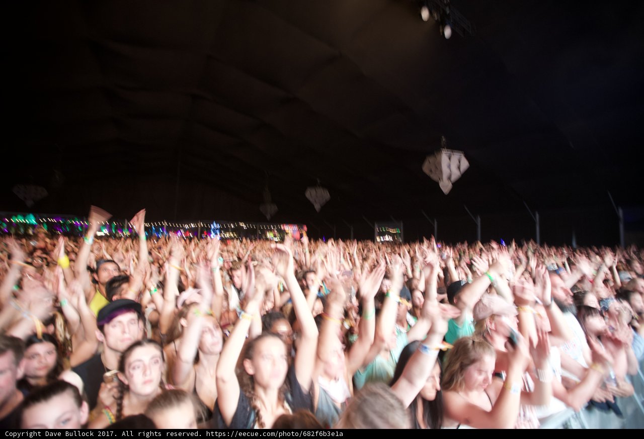 Crowd Goes Wild at Coachella Concert