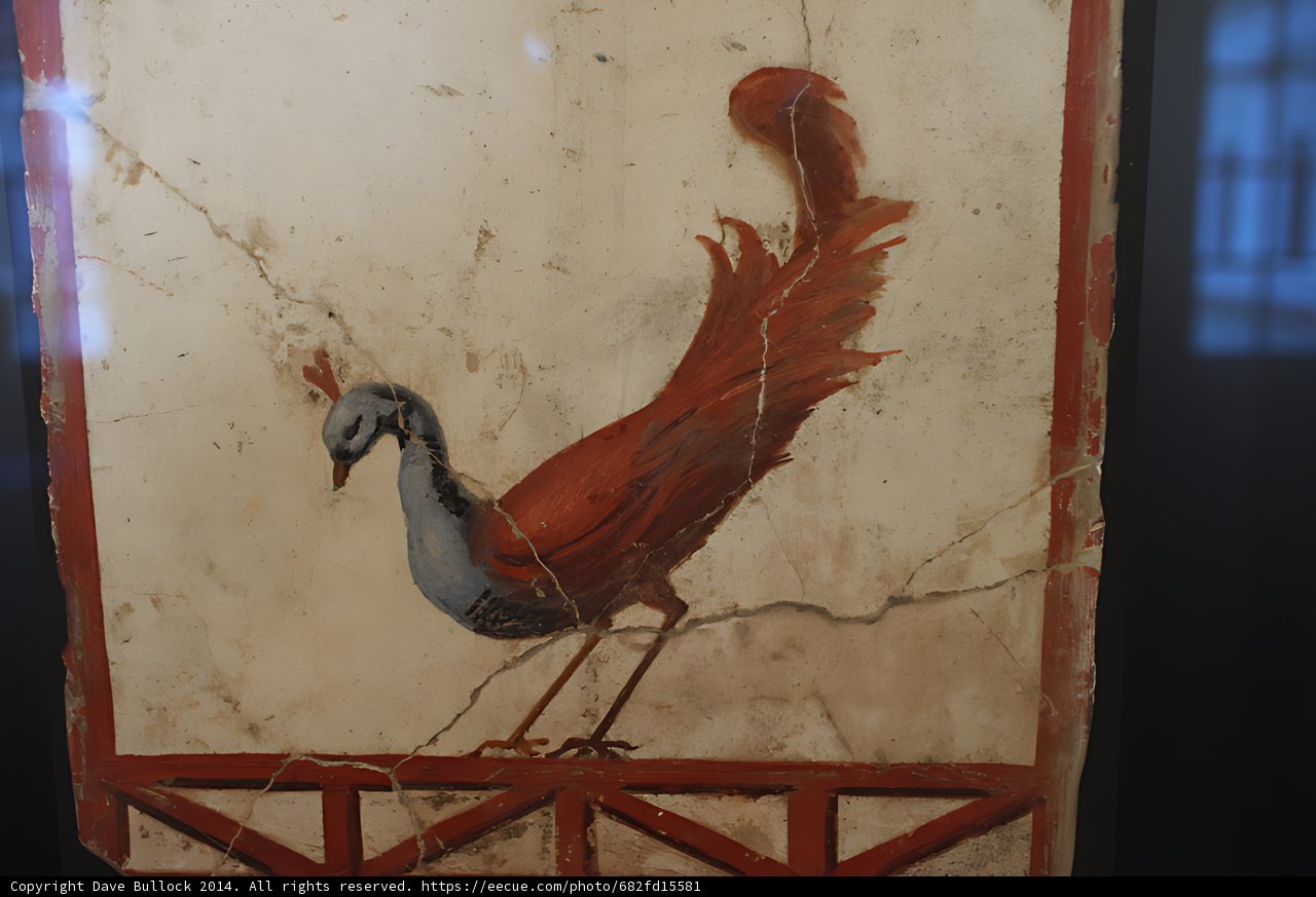 Winged Beauty in Museum