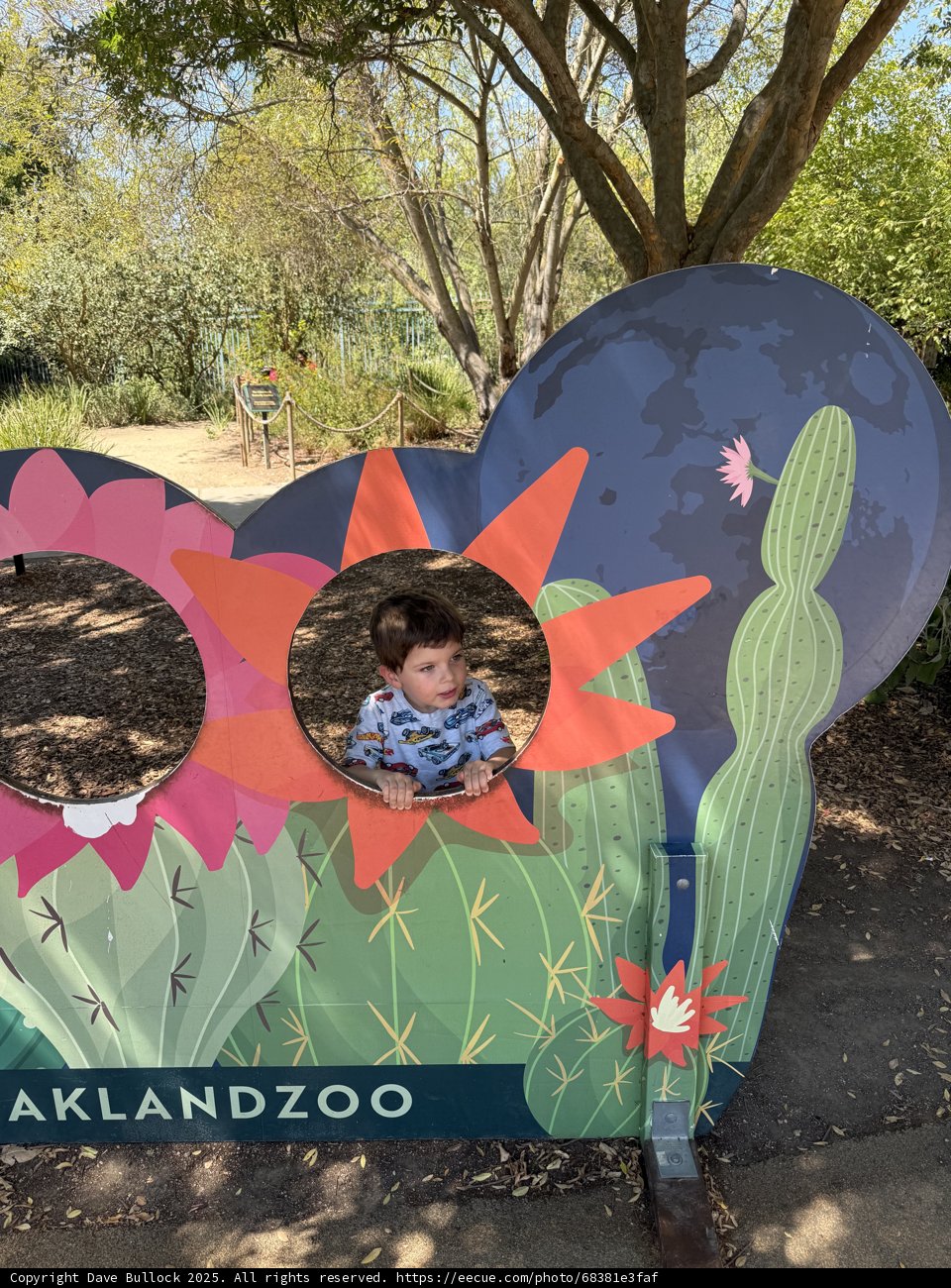 Peekaboo in the Wild