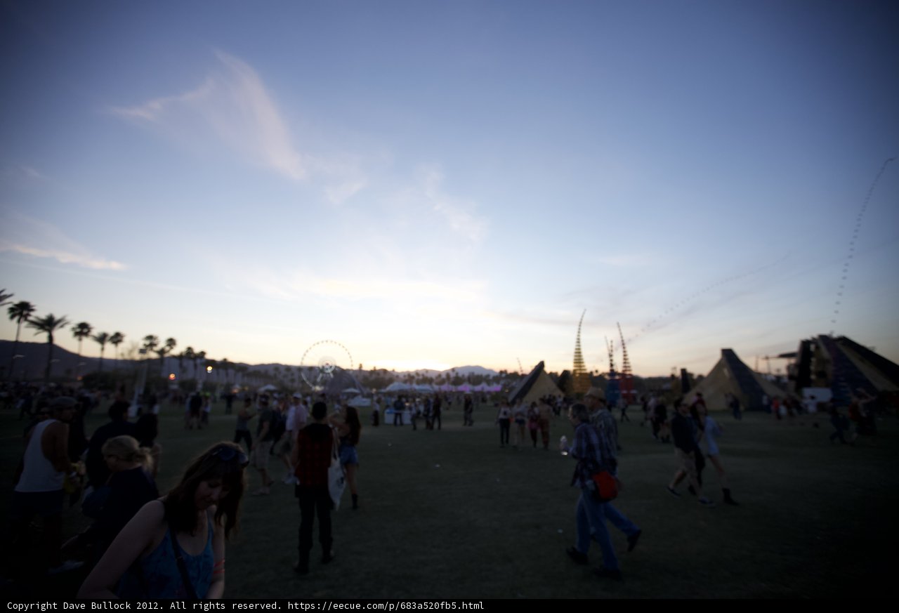 Sunset Stroll in the Grass