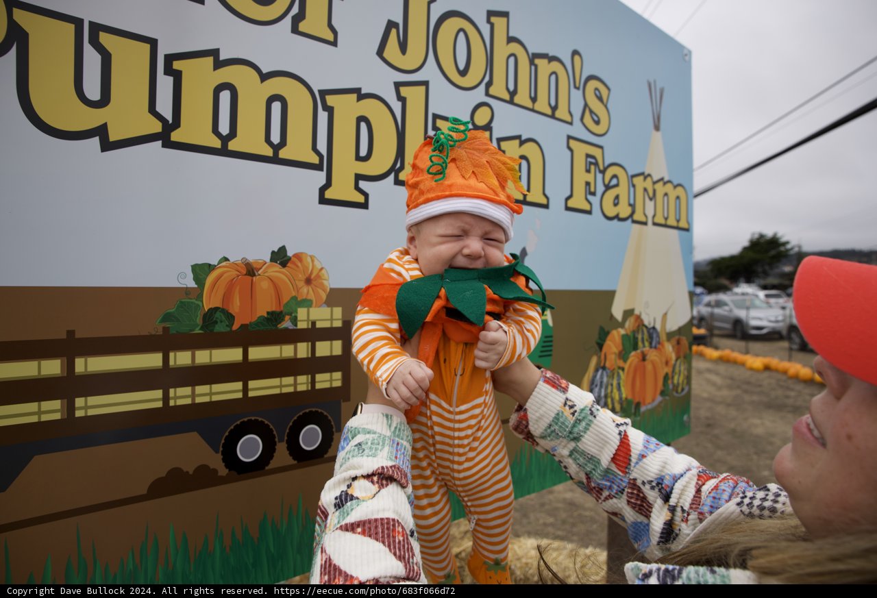 Little Pumpkin at the Farm