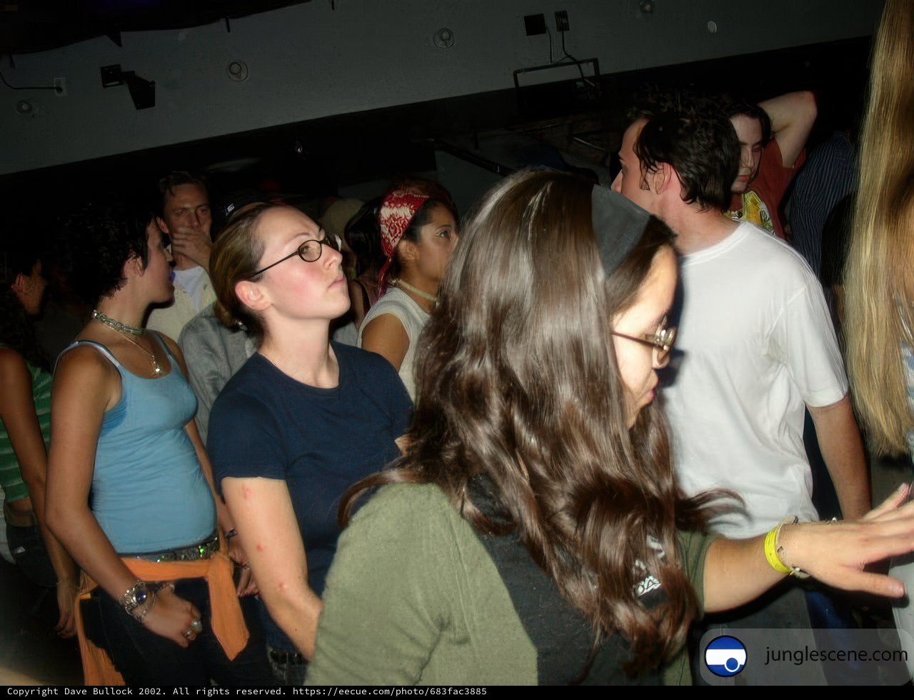 Nightclub Gathering