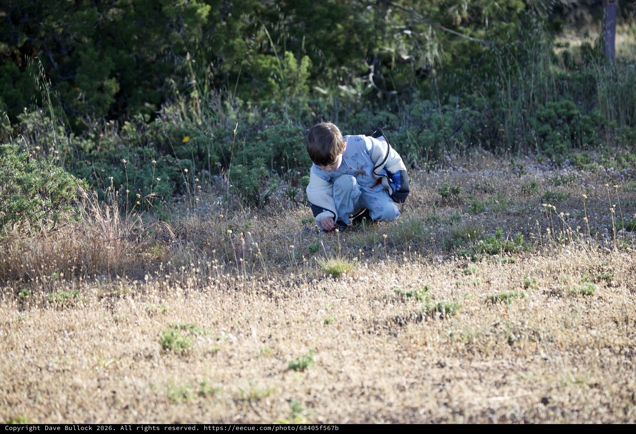 Young Explorer Discovering Nature on Dry Hillside