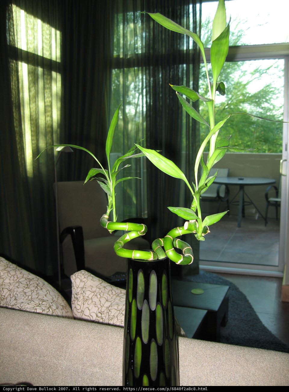Green Foliage in Elegant Vase