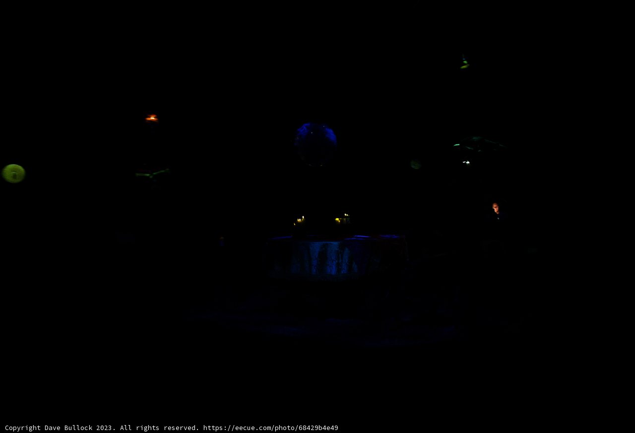 Magical Night at Disneyland