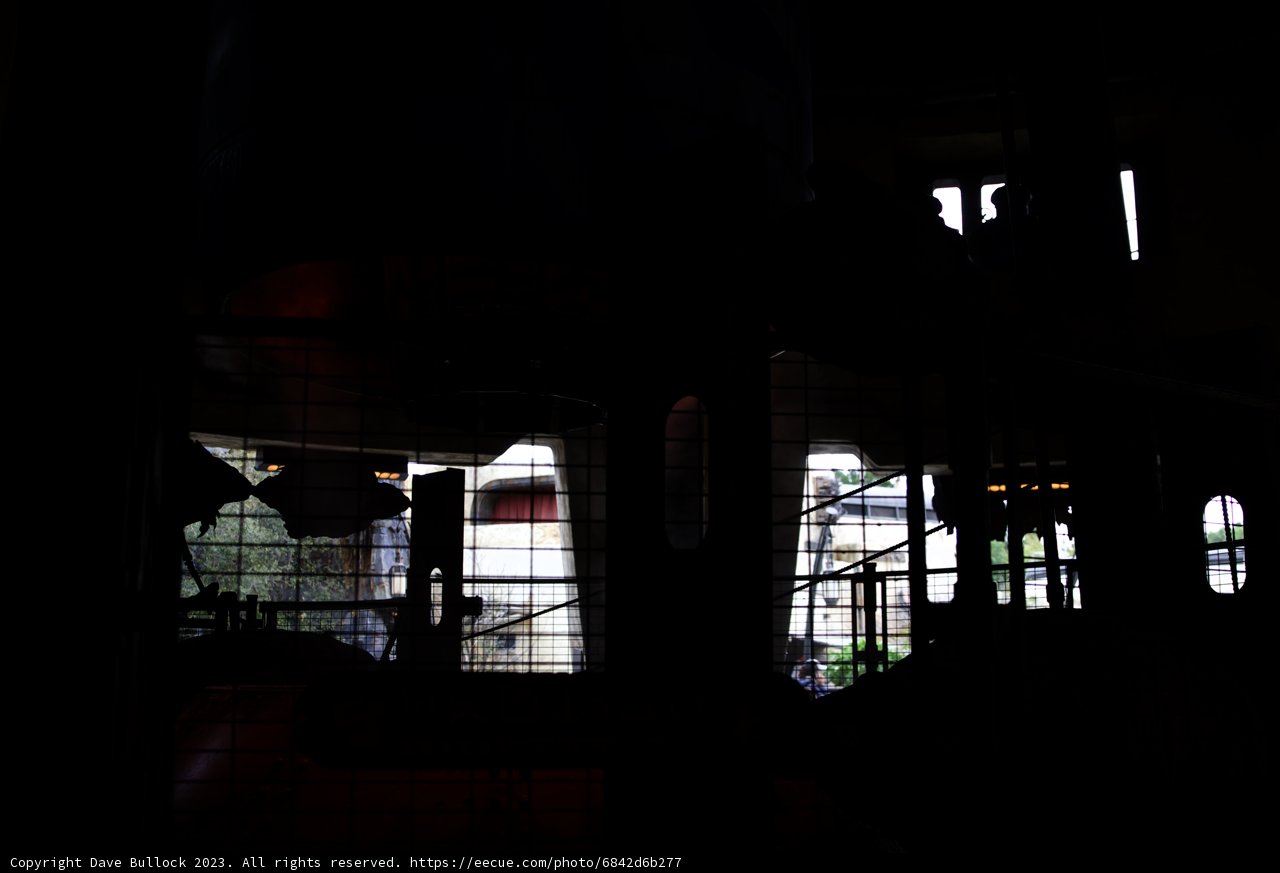 The Man and the Window