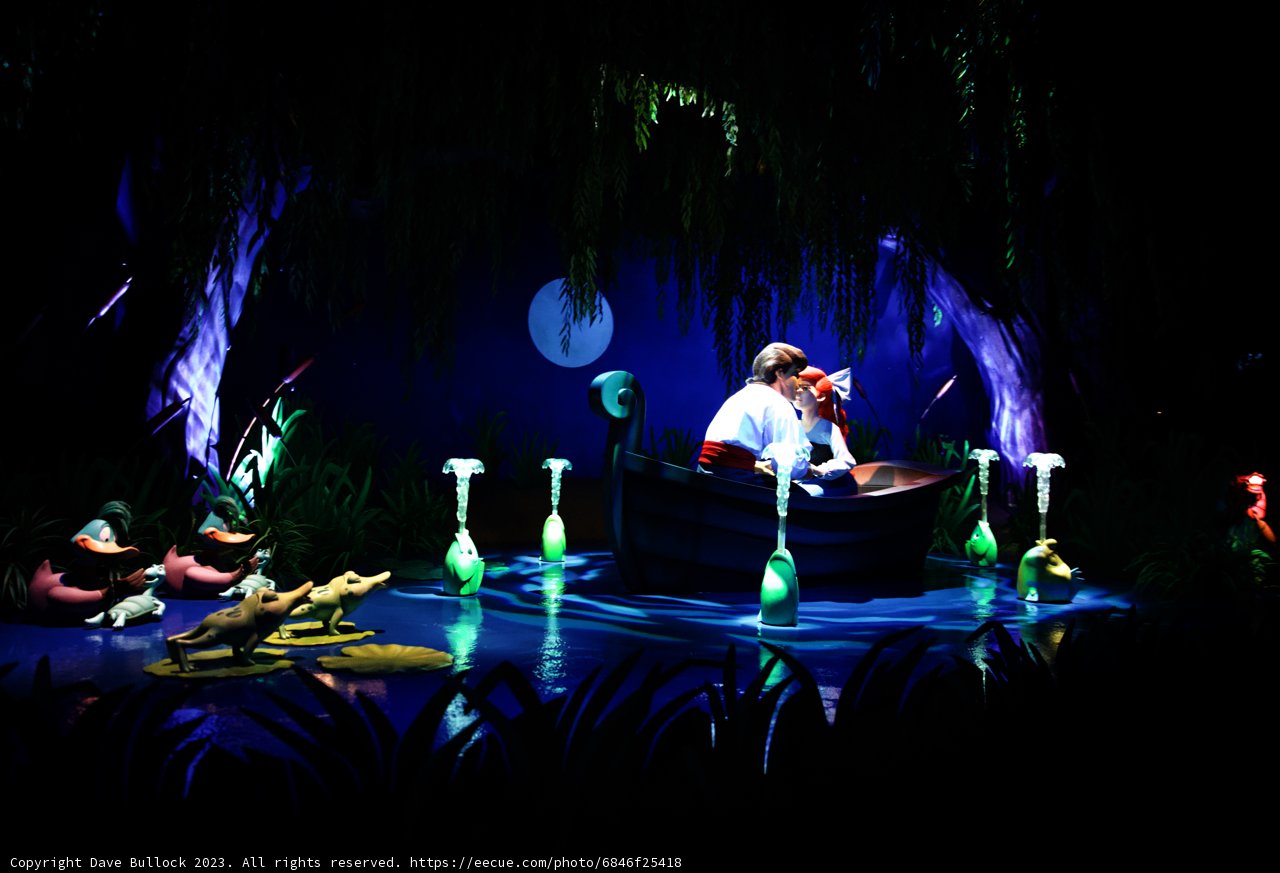 Magical Encounter in Disneyland