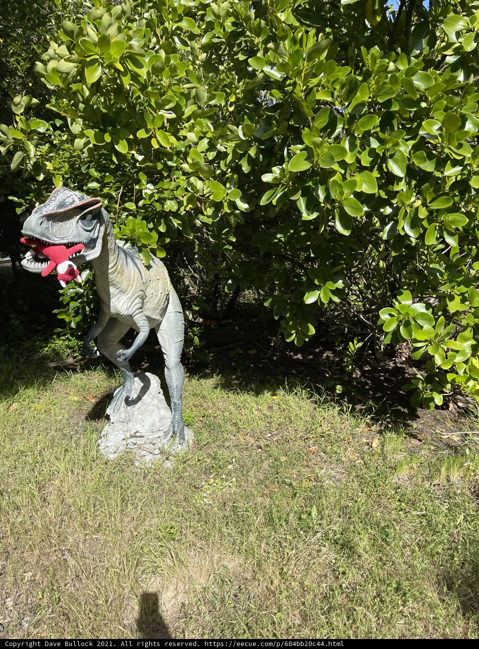 Prehistoric Guardian