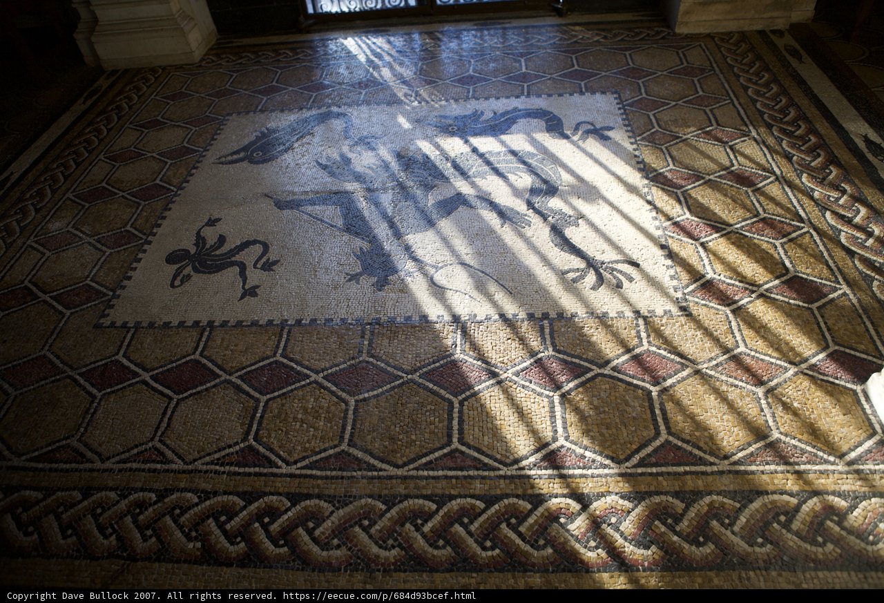 Artistic Dragon Mosaic Flooring