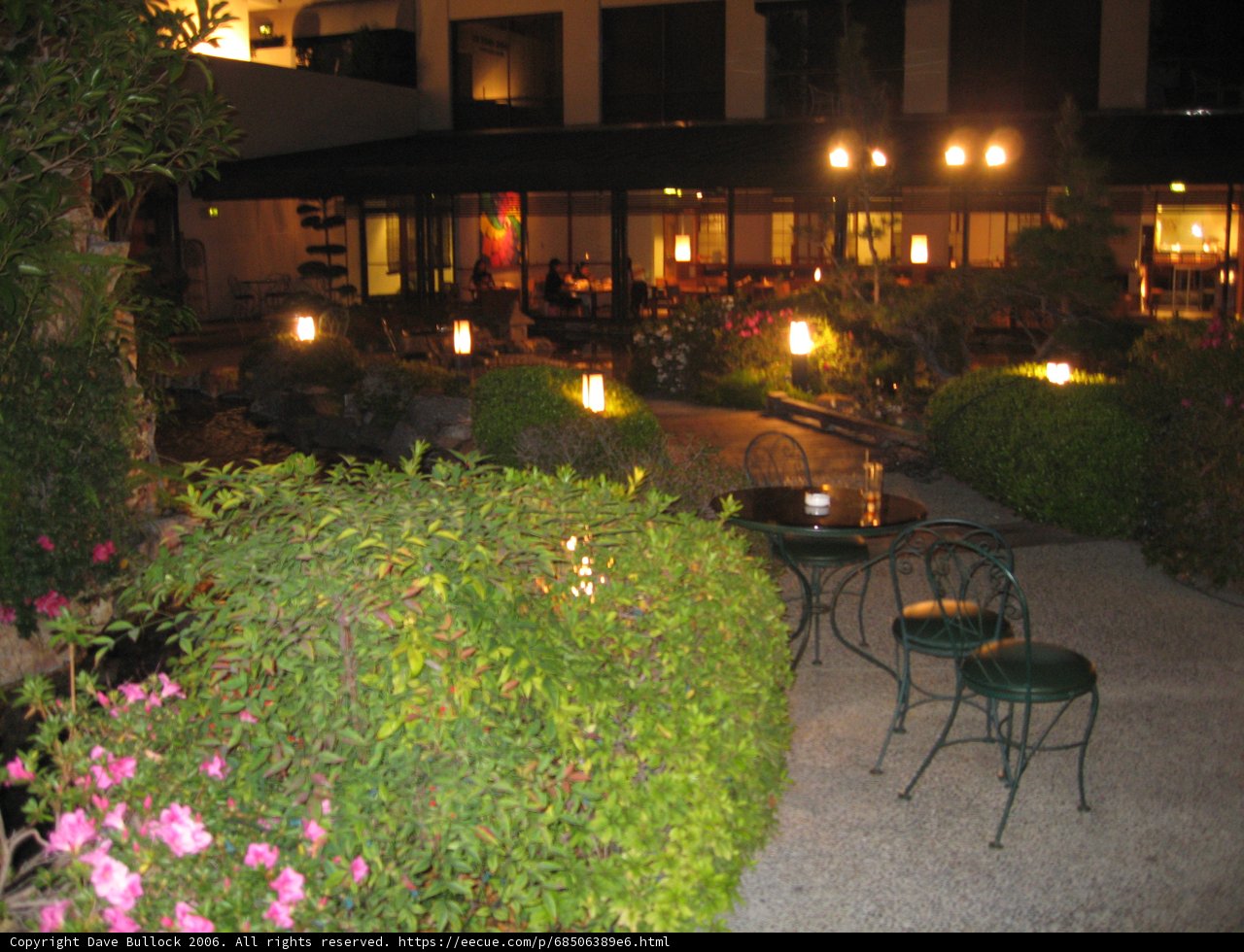 Nighttime Retreat on the Patio