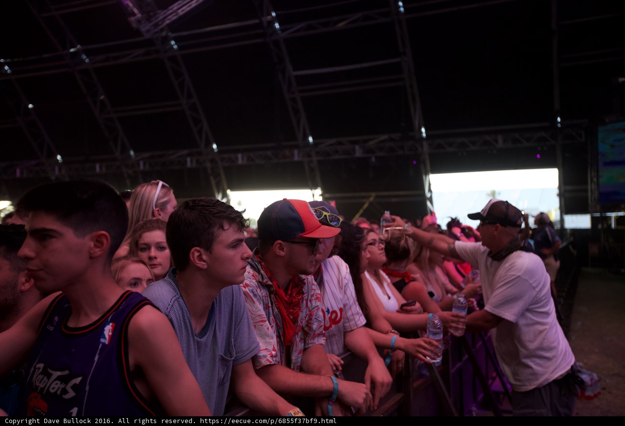 Crowd Goes Wild