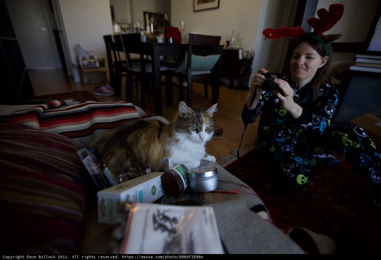 Cozy Afternoon - Christmas Day, 2011